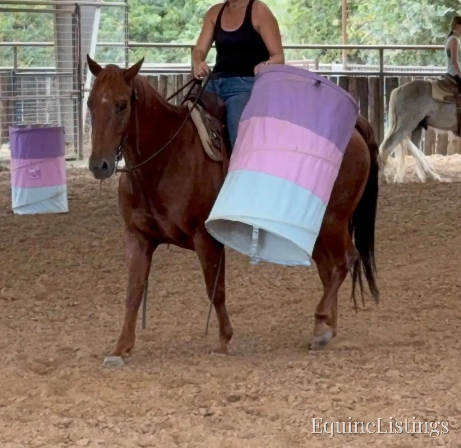 Smarty Red Roan Gelding Other Breed - Photo 3