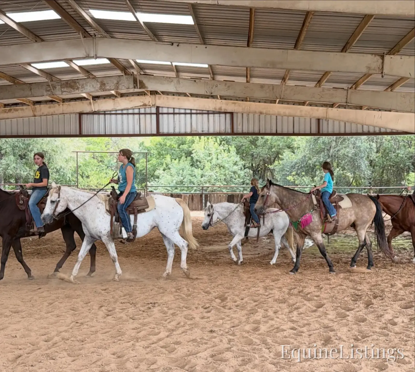 Opal Mare Other Breed - Photo 3