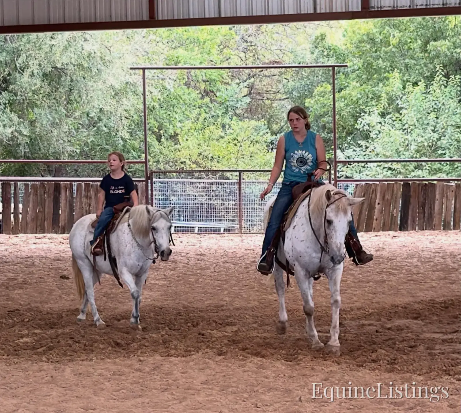 Opal Mare Other Breed - Photo 5