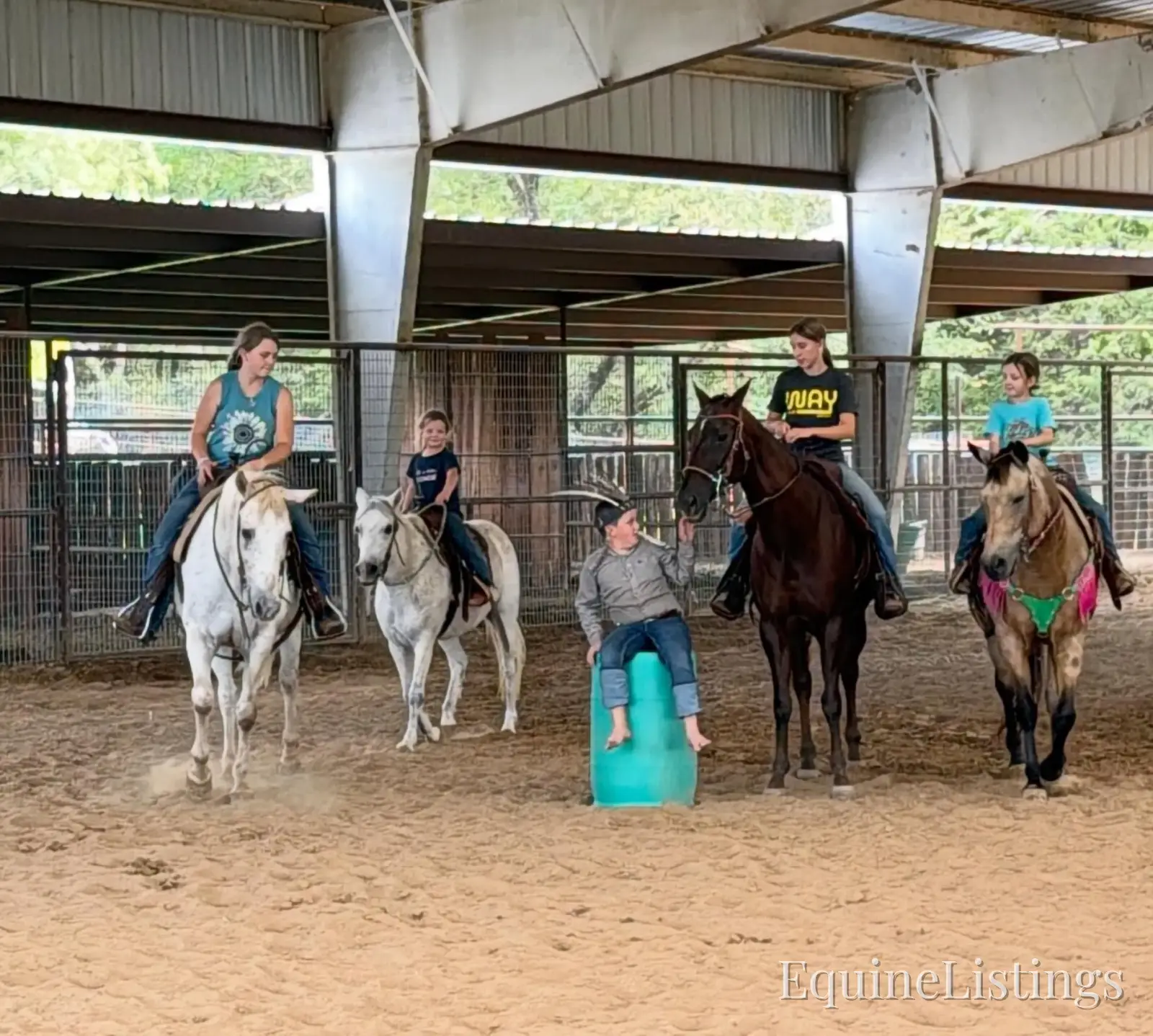 Opal Mare Other Breed - Photo 6