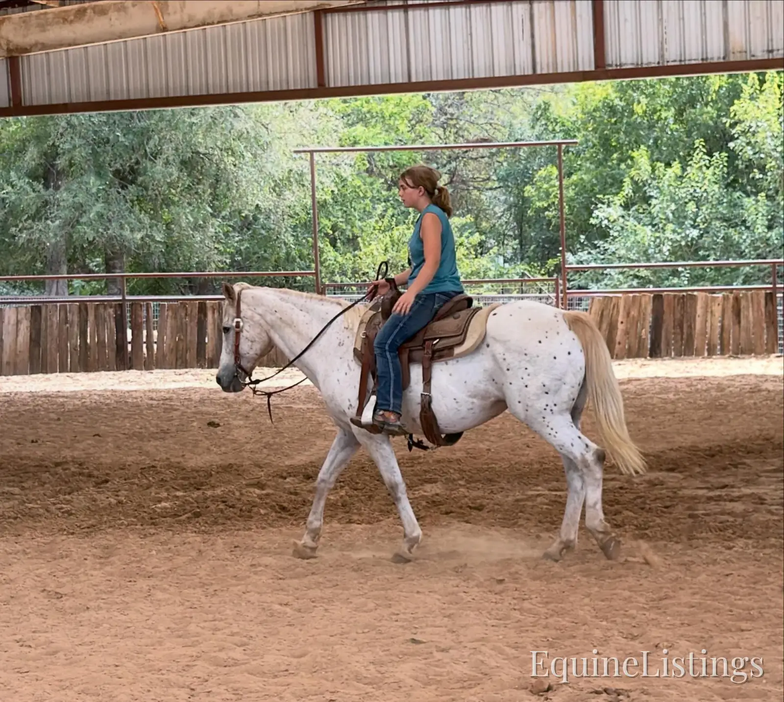 Opal Mare Other Breed - Photo 7