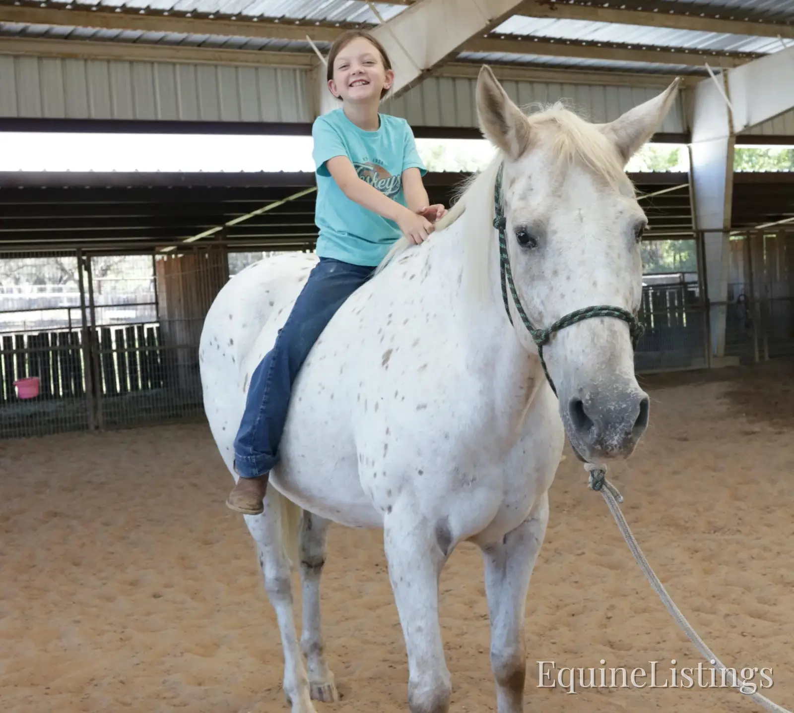 Opal Mare Other Breed - Photo 8