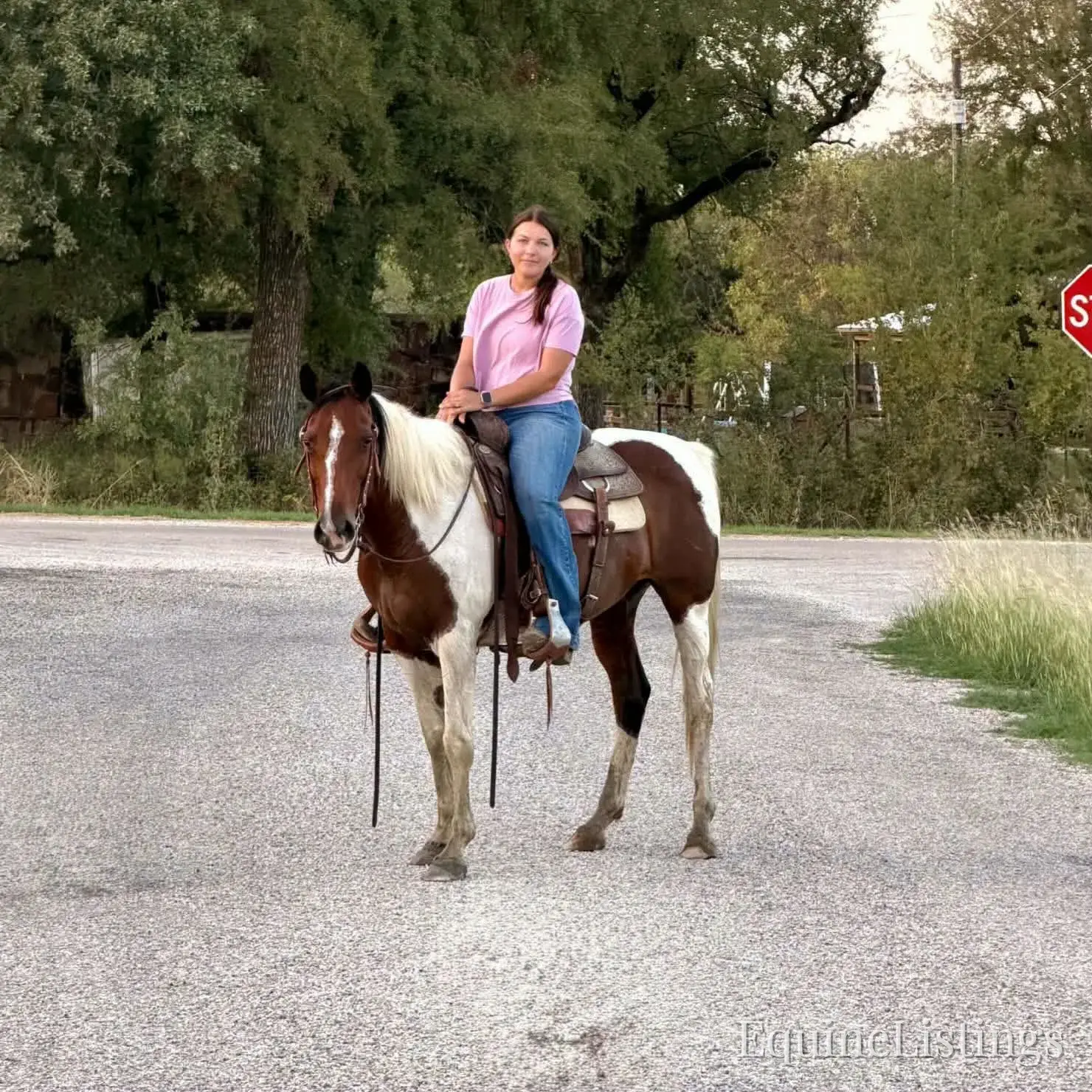 Josie Mare Paint