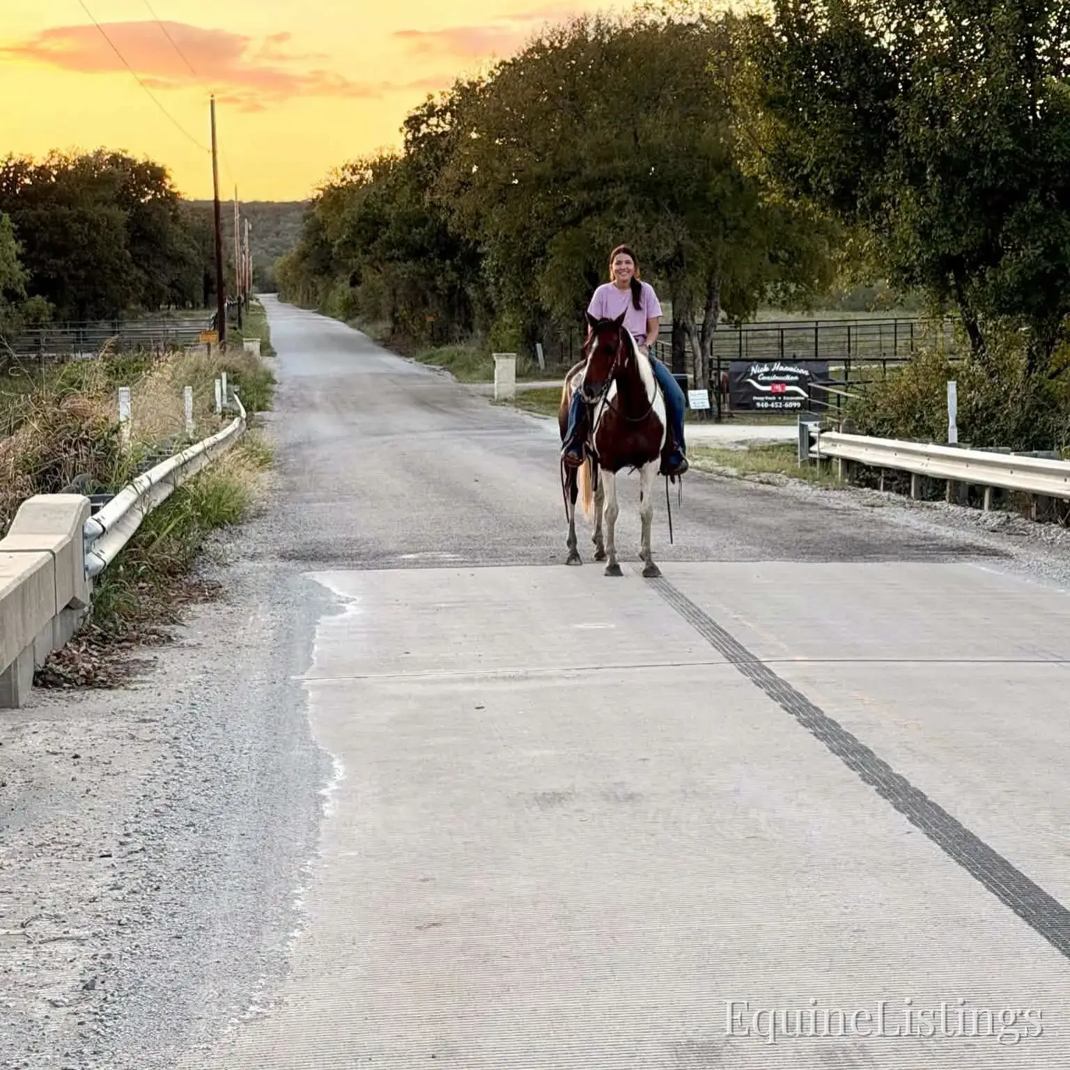 Josie Mare Paint - Photo 2
