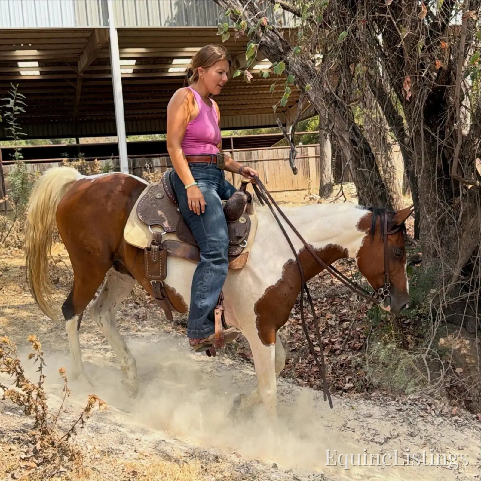 Josie Mare Paint - Photo 5