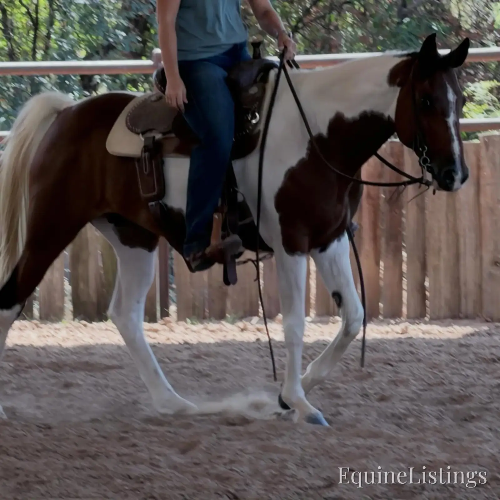 Josie Mare Paint - Photo 9