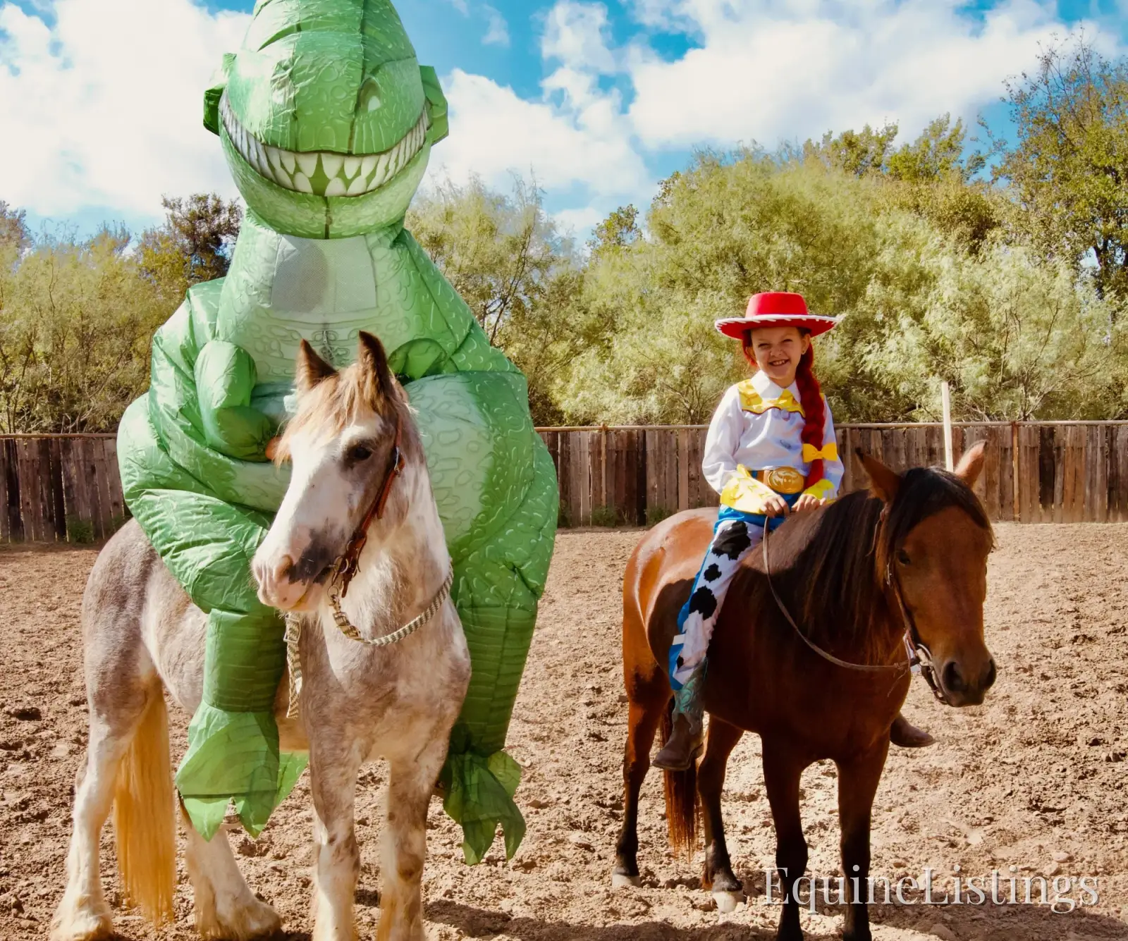 Cactus Gelding Other Breed - Photo 6