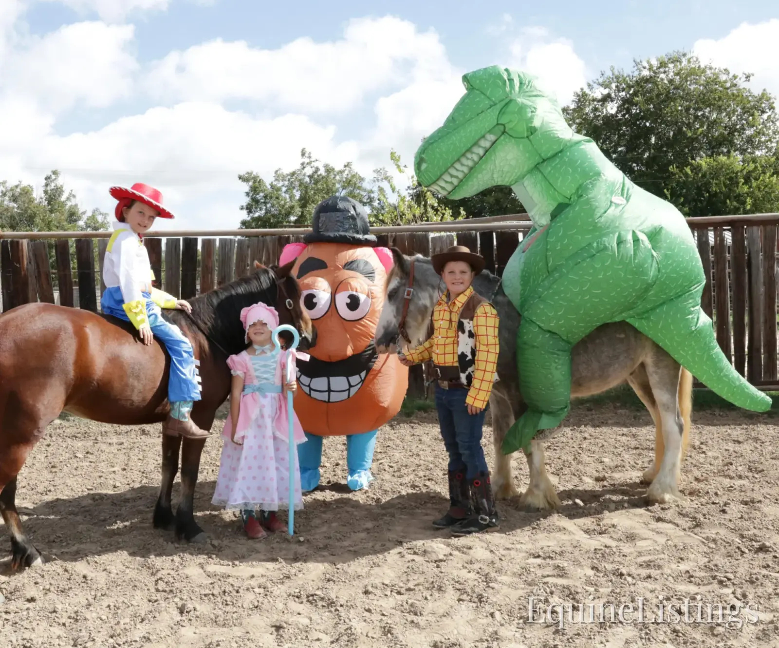 Cactus Gelding Other Breed - Photo 7