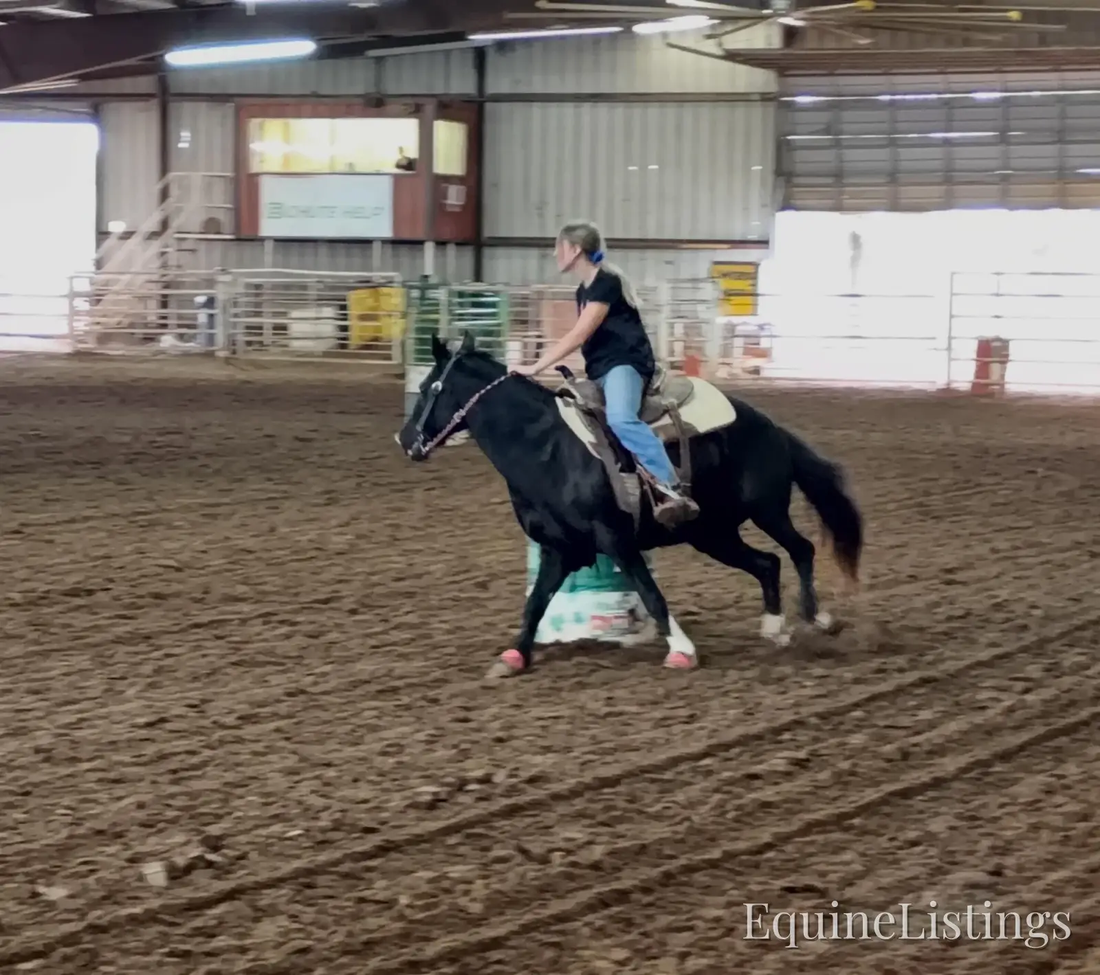 Pepper Mare Other Breed - Photo 11