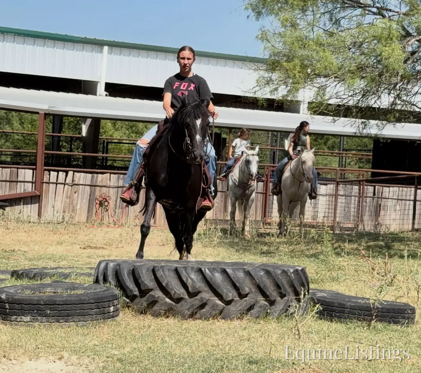 Pepper Mare Other Breed - Photo 12