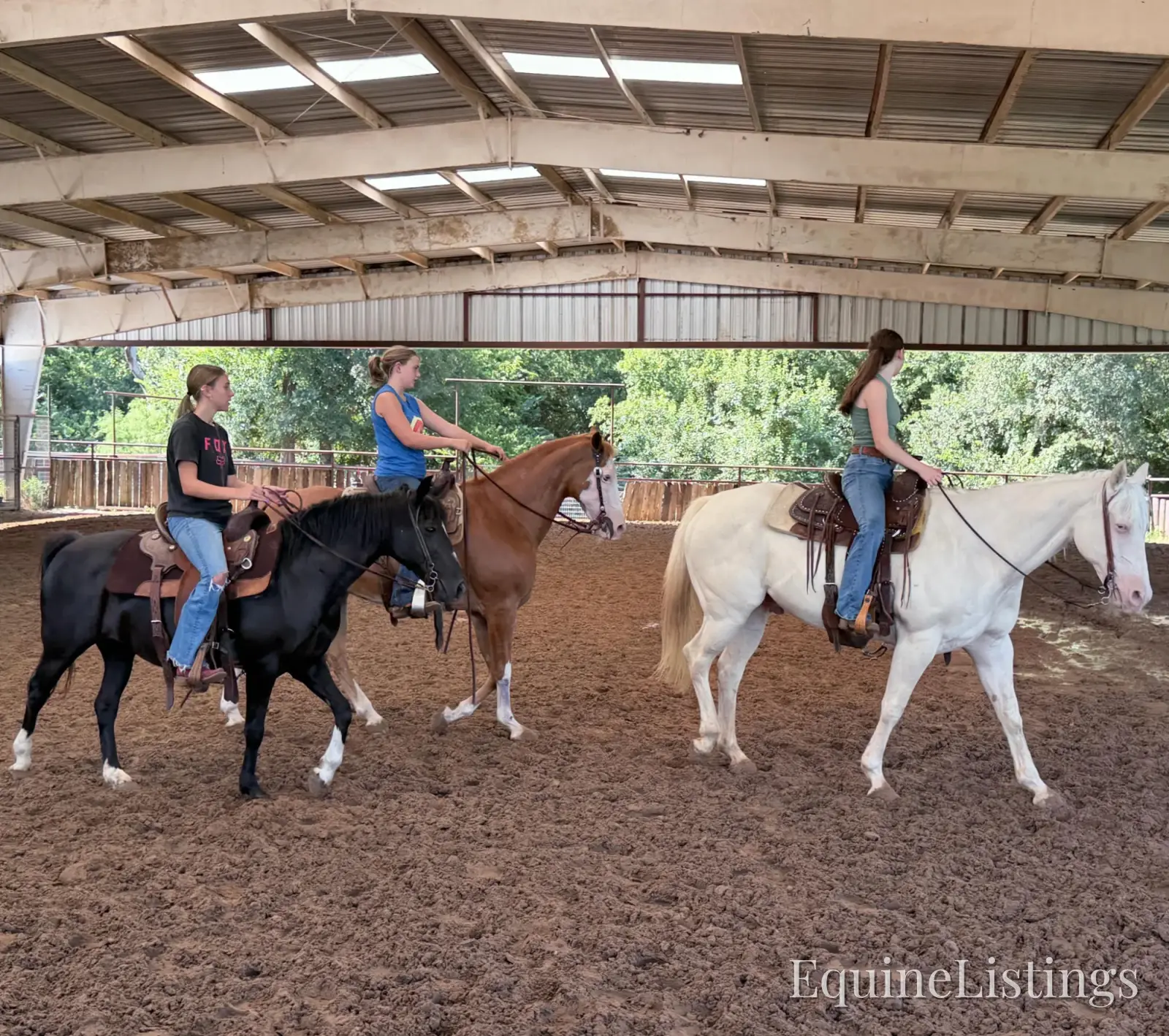Pepper Mare Other Breed - Photo 13