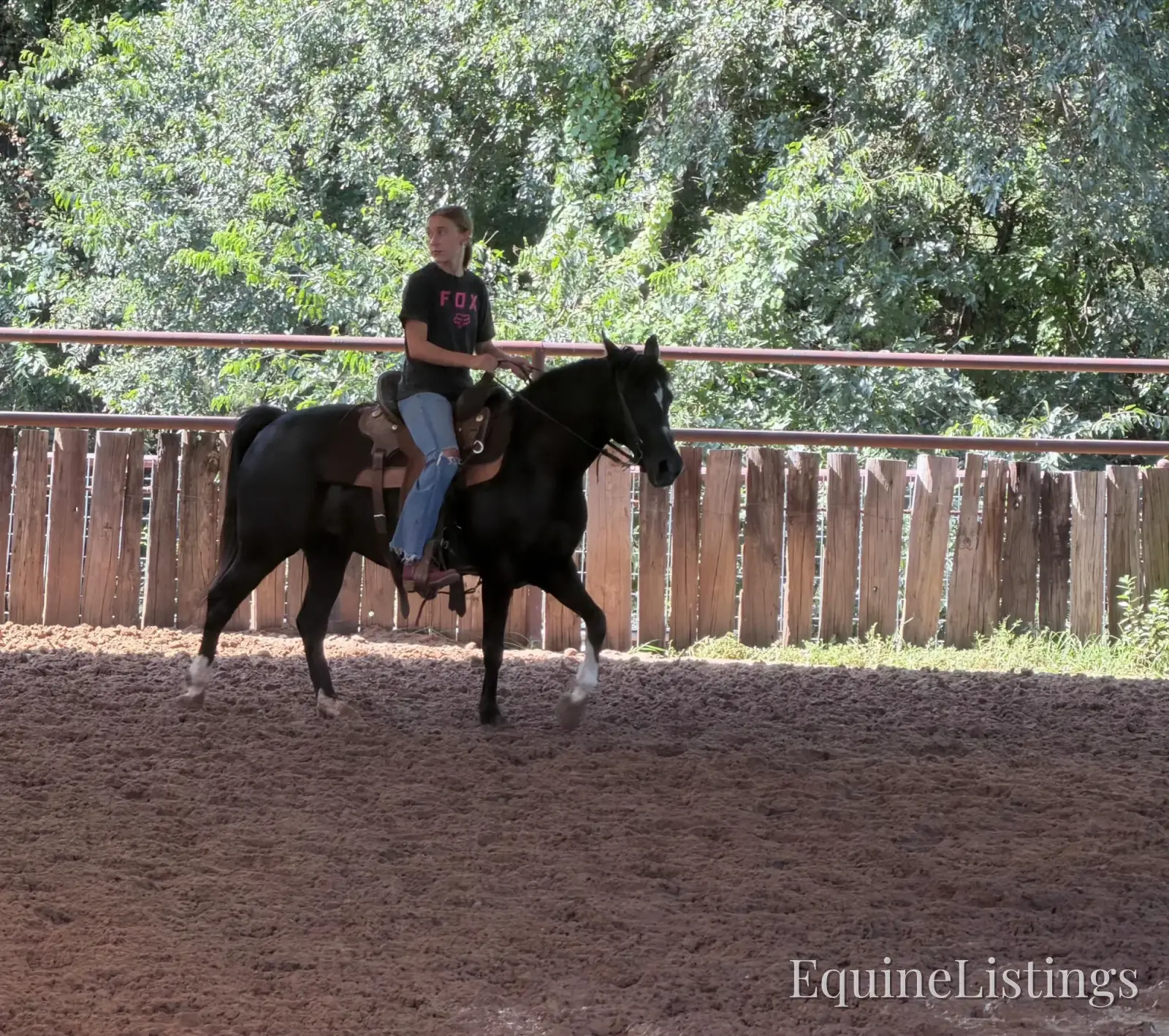 Pepper Mare Other Breed - Photo 15