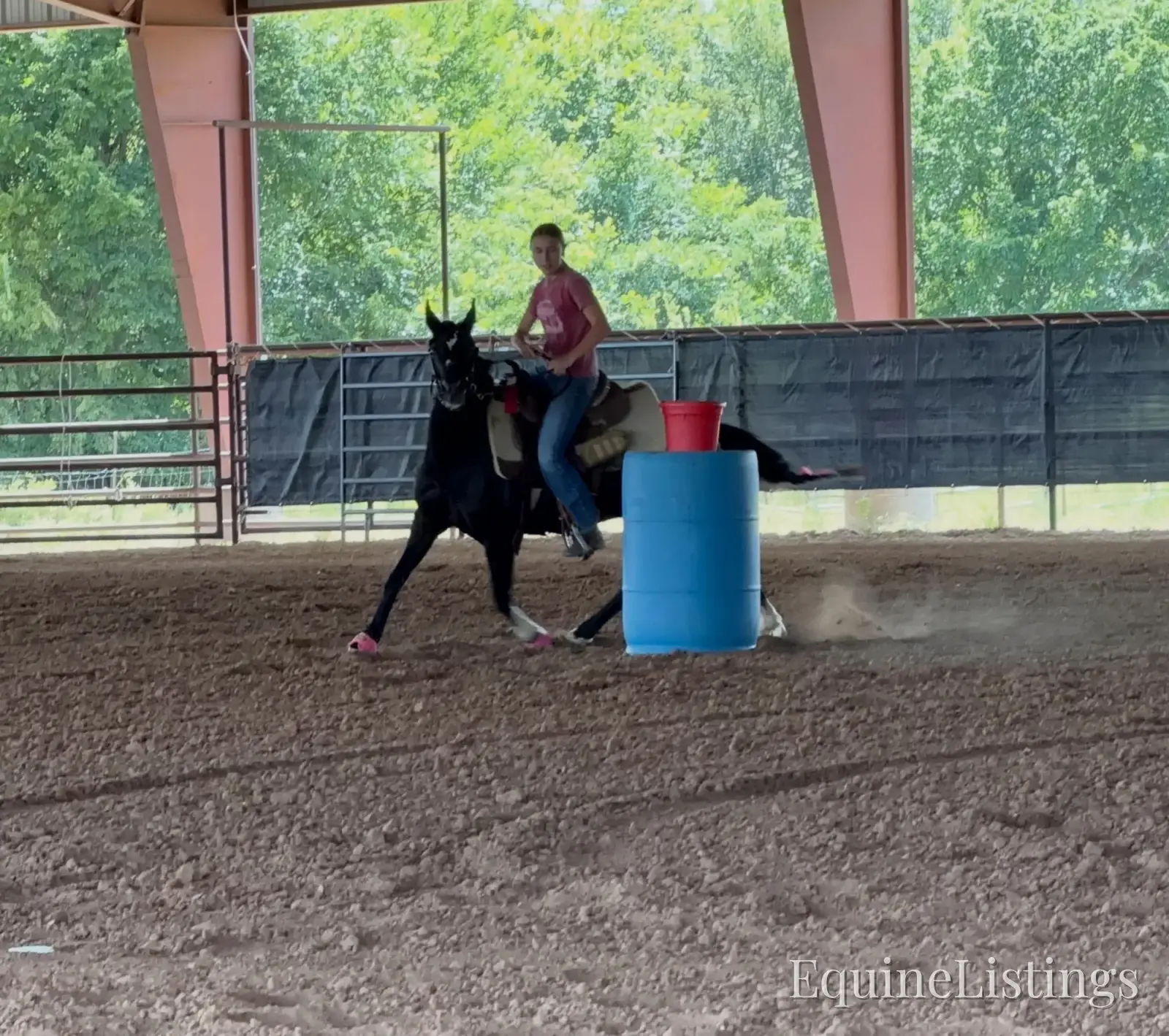 Pepper Mare Other Breed - Photo 17
