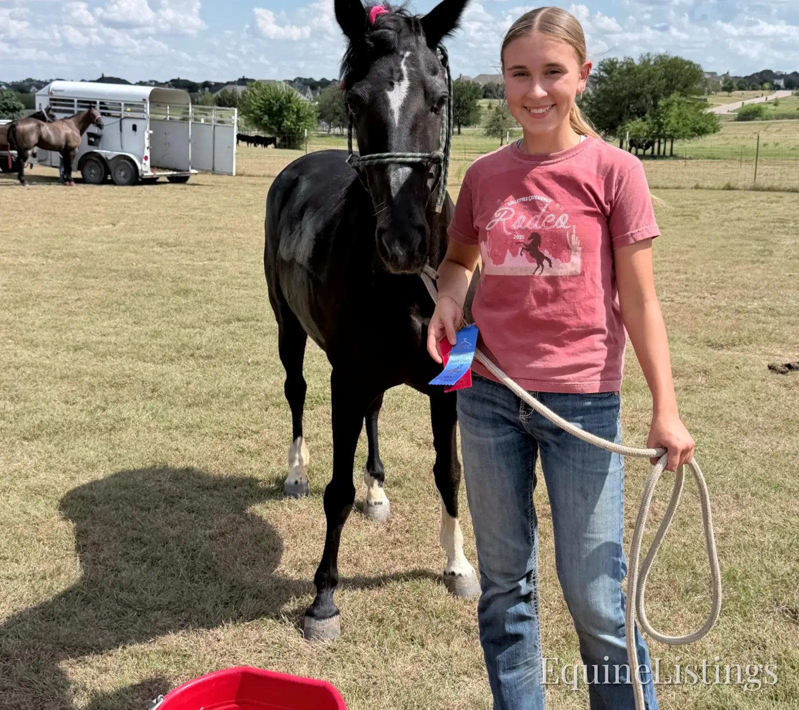 Pepper Mare Other Breed - Photo 3