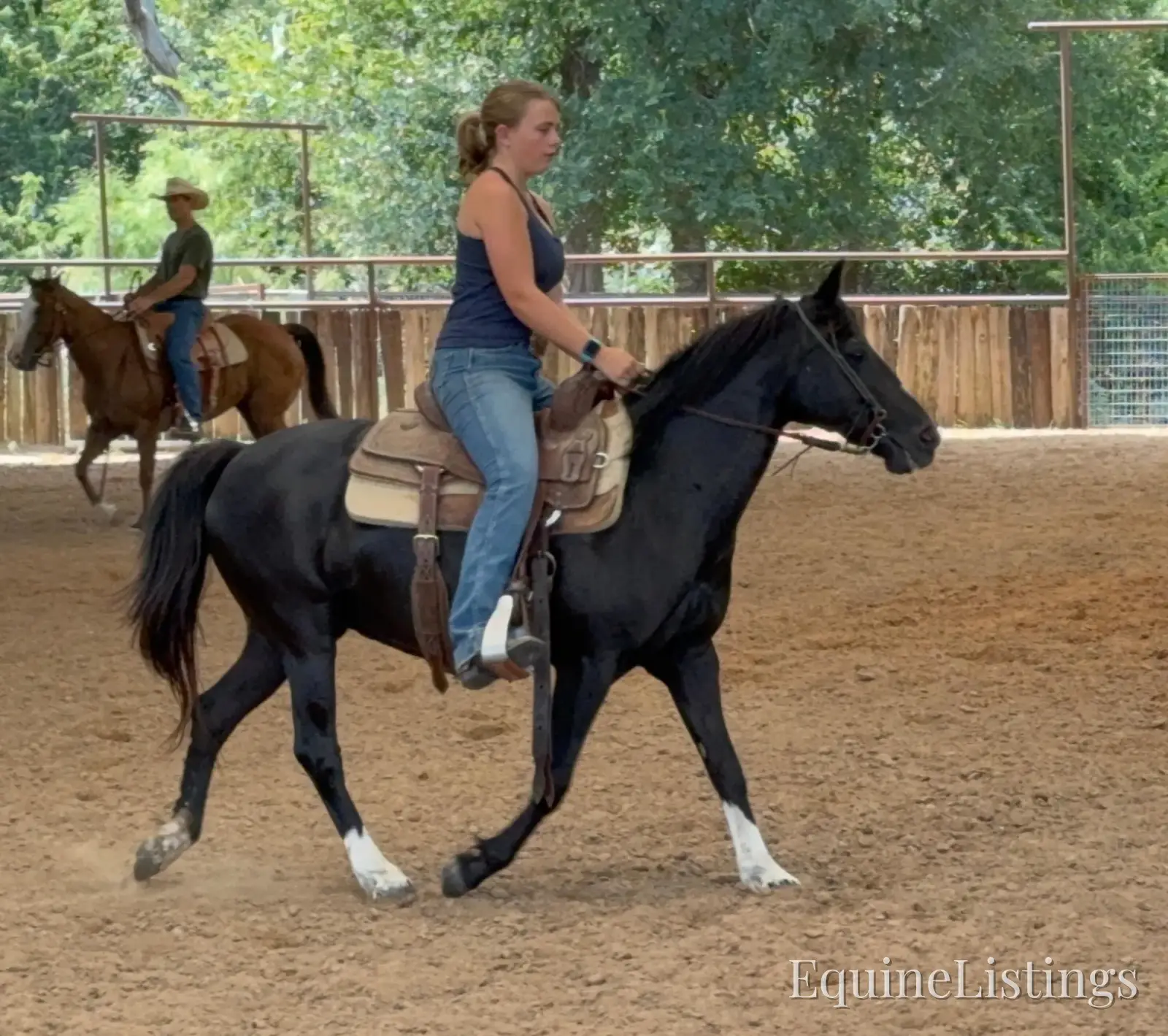 Pepper Mare Other Breed - Photo 4