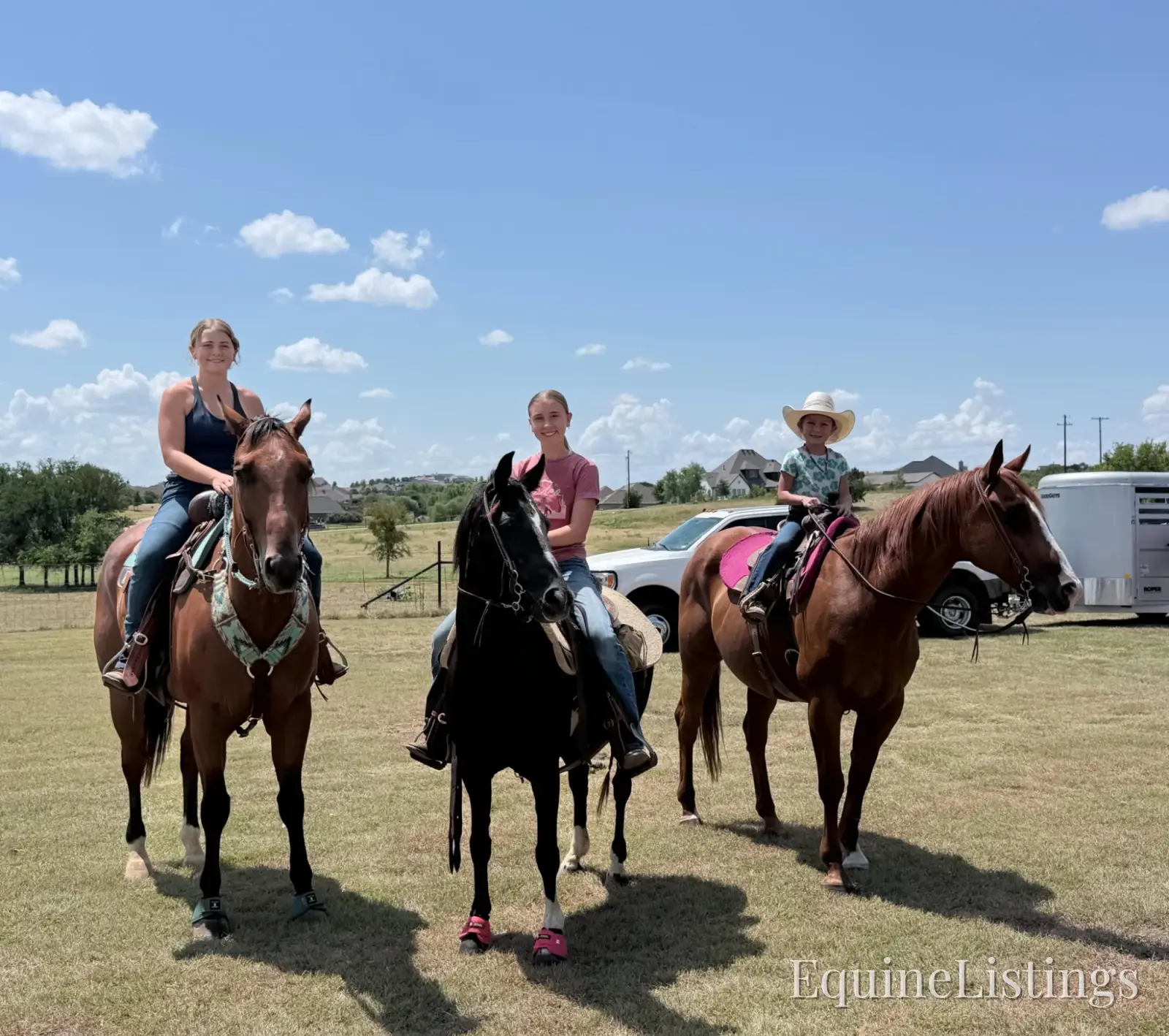 Pepper Mare Other Breed - Photo 6