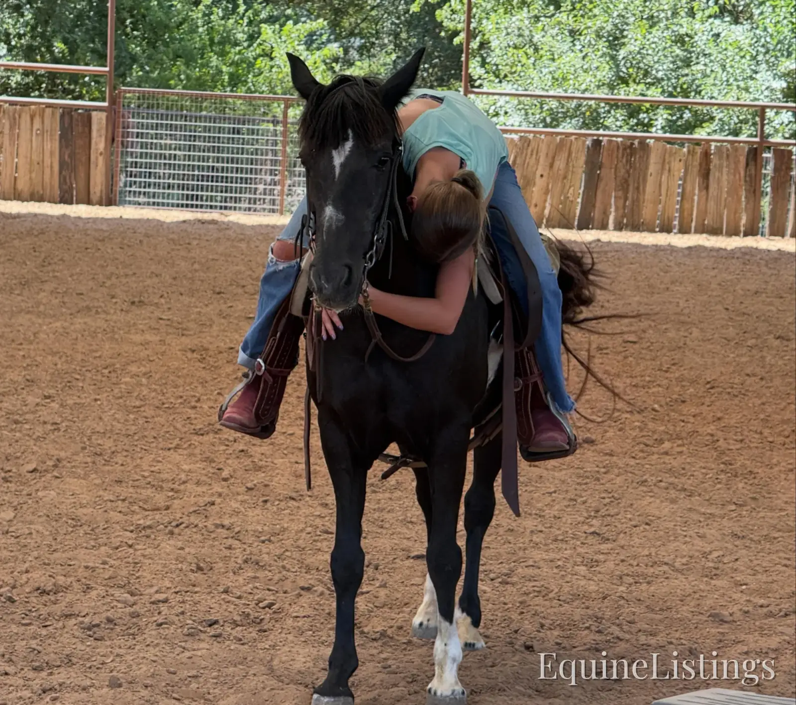 Pepper Mare Other Breed - Photo 7