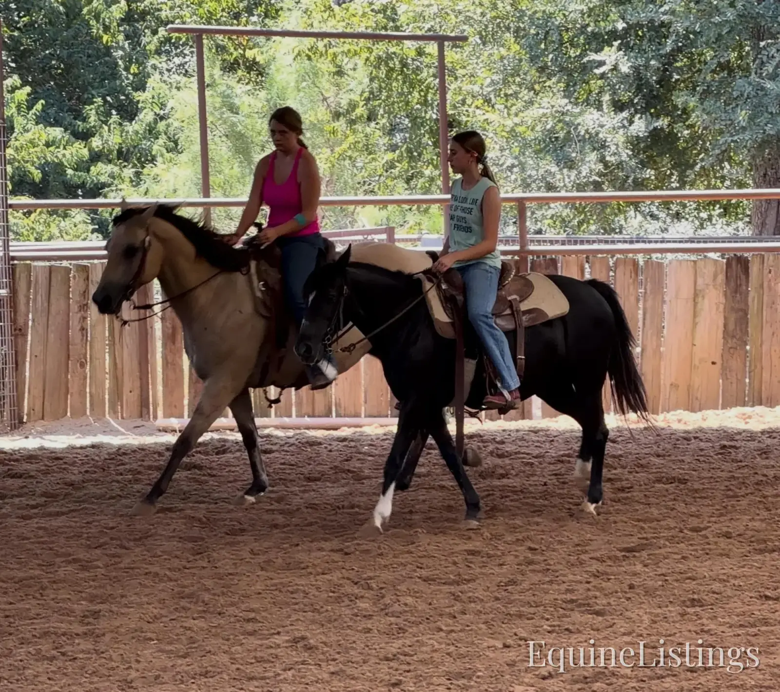 Pepper Mare Other Breed - Photo 9