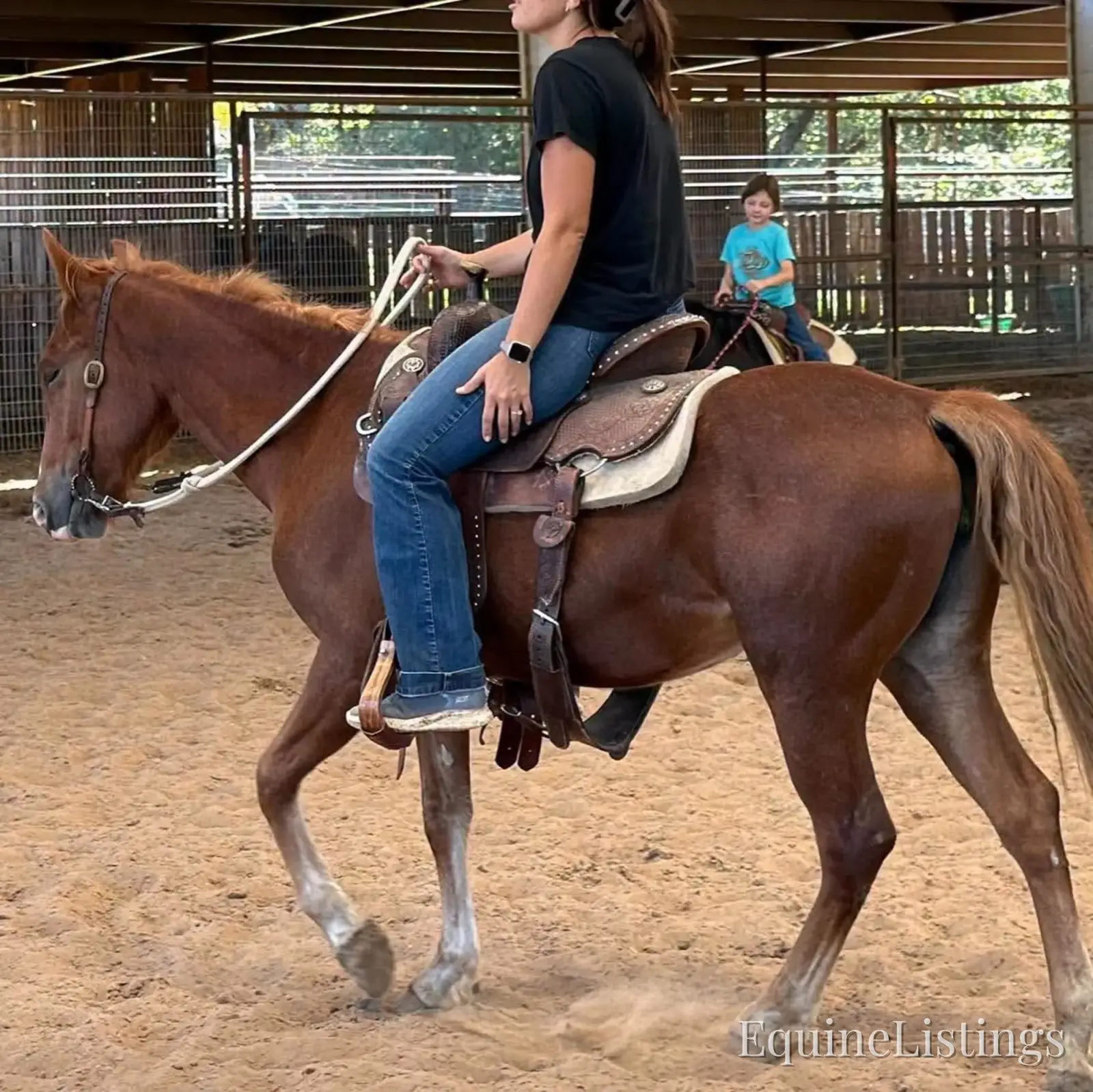 Penny Mare Other Breed