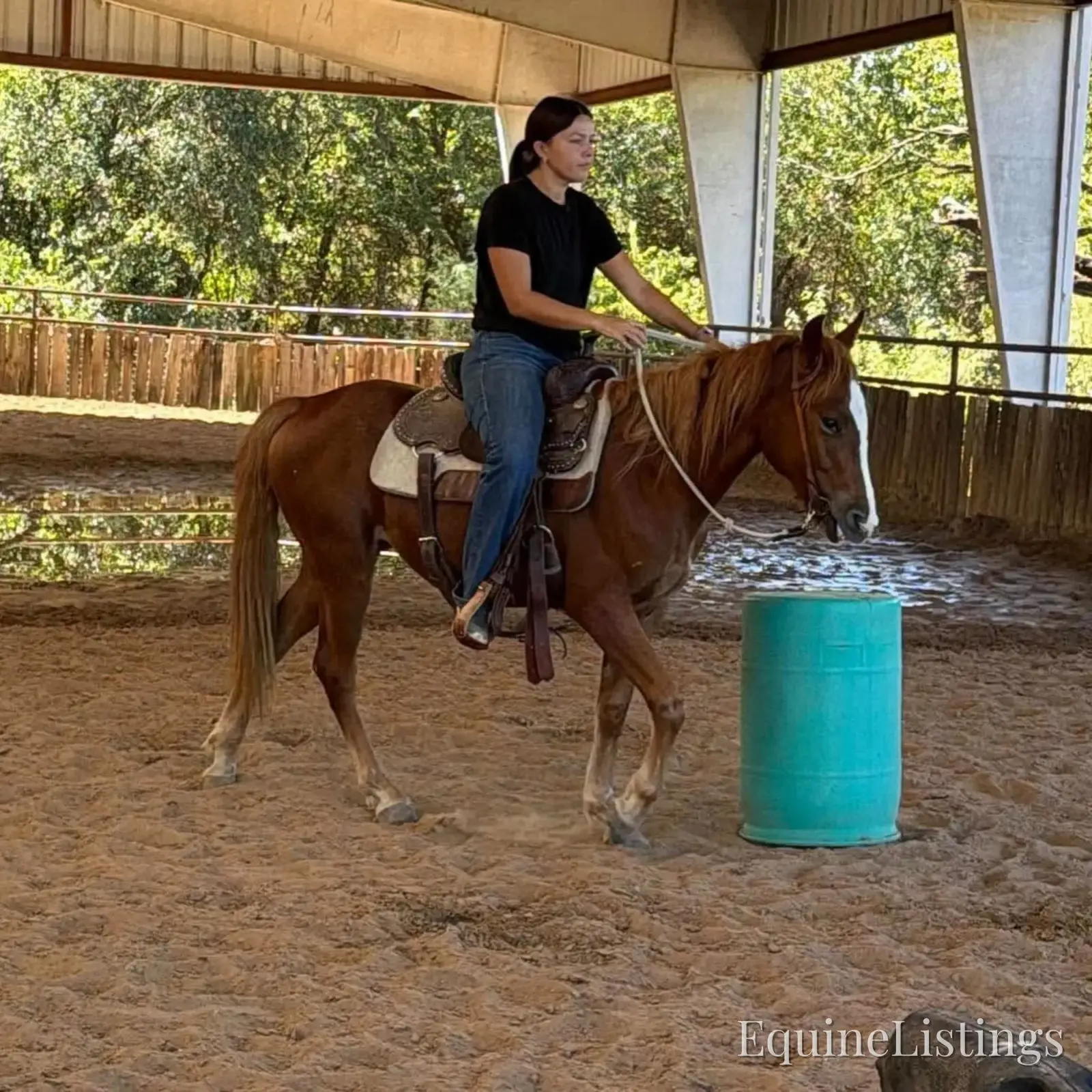 Penny Mare Other Breed - Photo 3