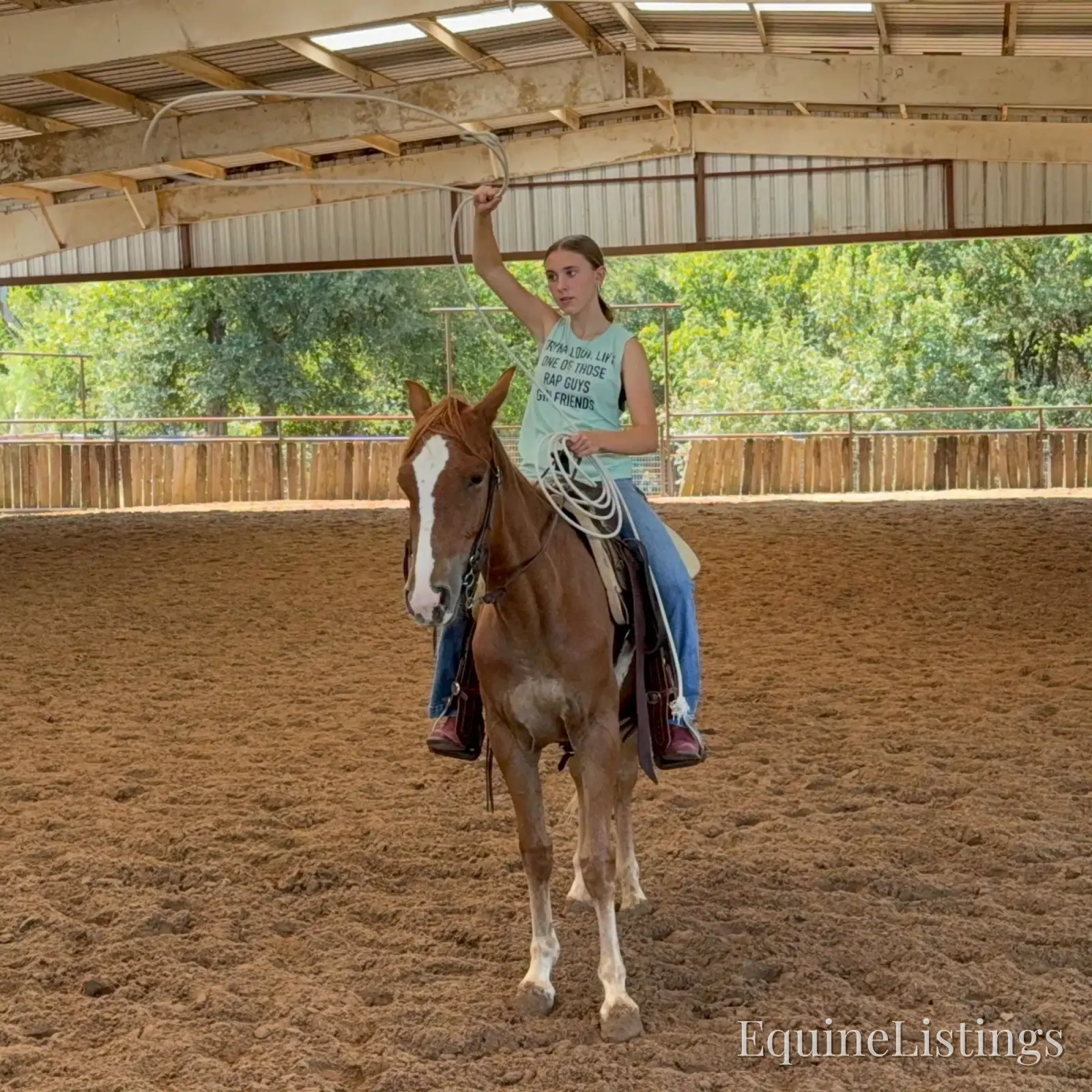 Penny Mare Other Breed - Photo 4