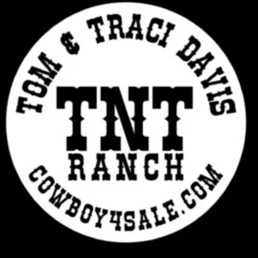 TnT Ranch Horses logo