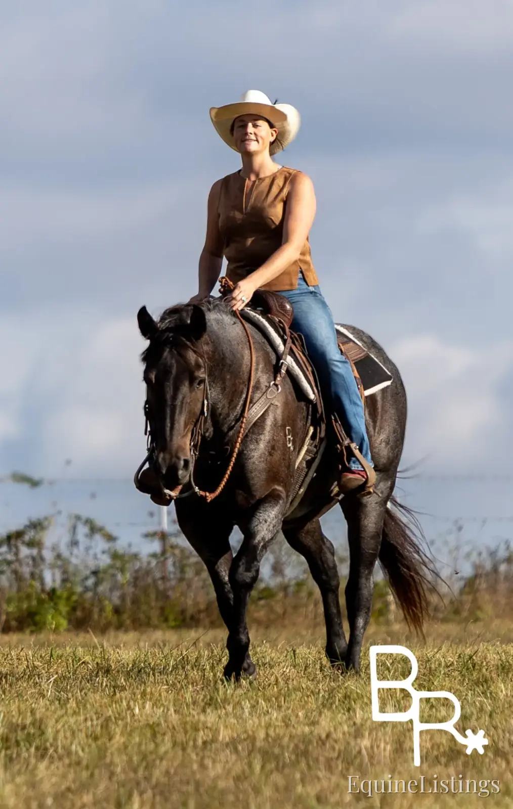 Jarred Blue Roan Gelding Draft - Photo 21