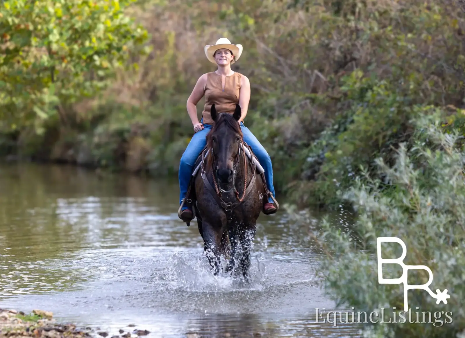 Jarred Blue Roan Gelding Draft - Photo 4