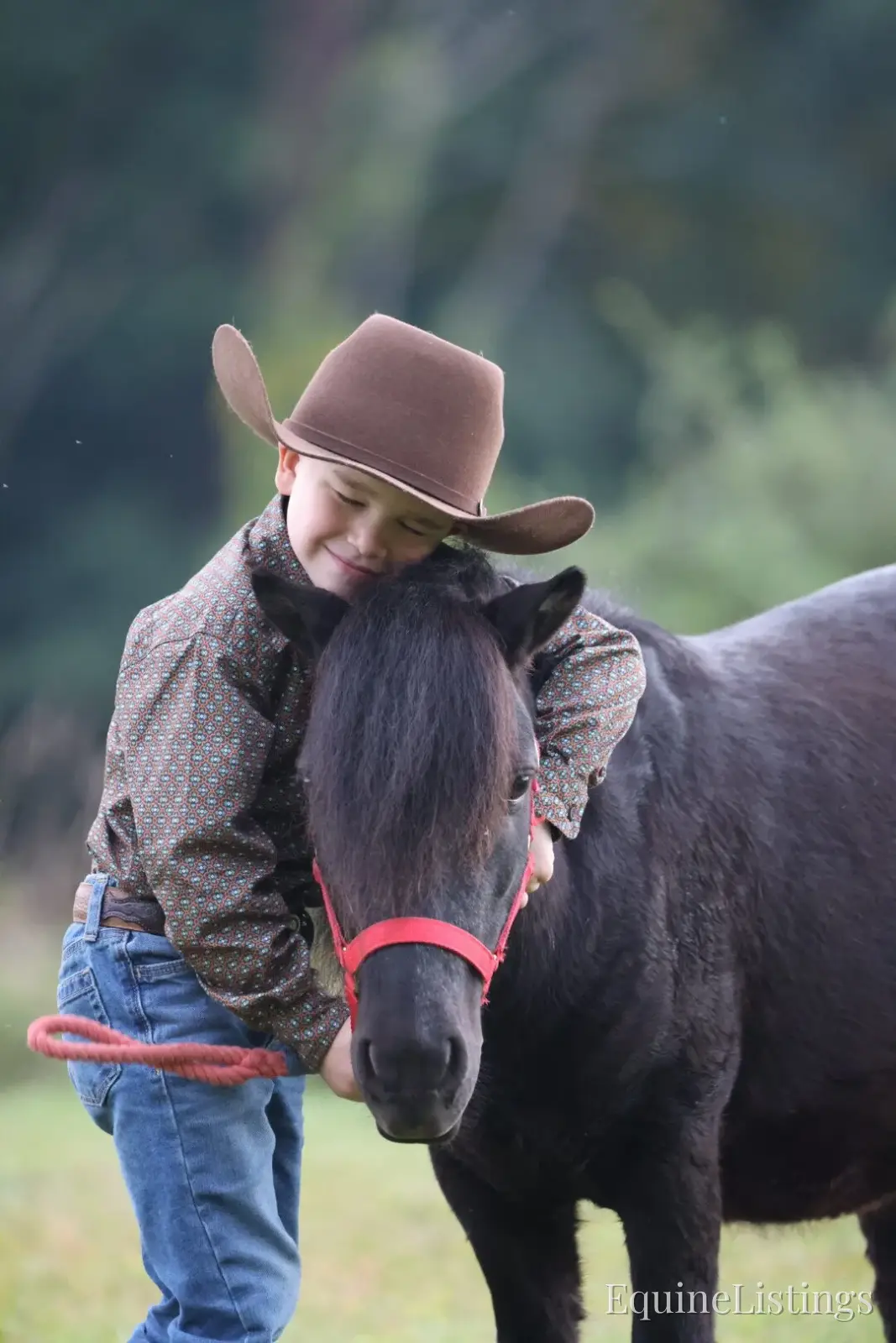 PEPPER Black Gelding Pony - Photo 11