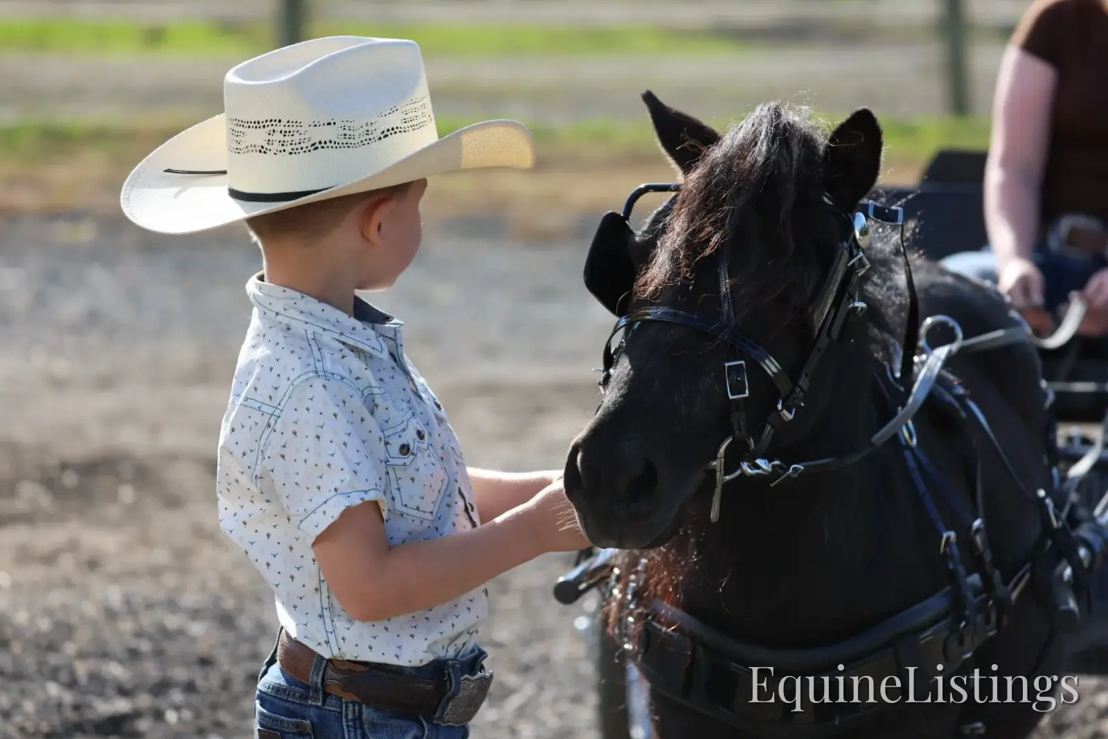 PEPPER Black Gelding Pony - Photo 15