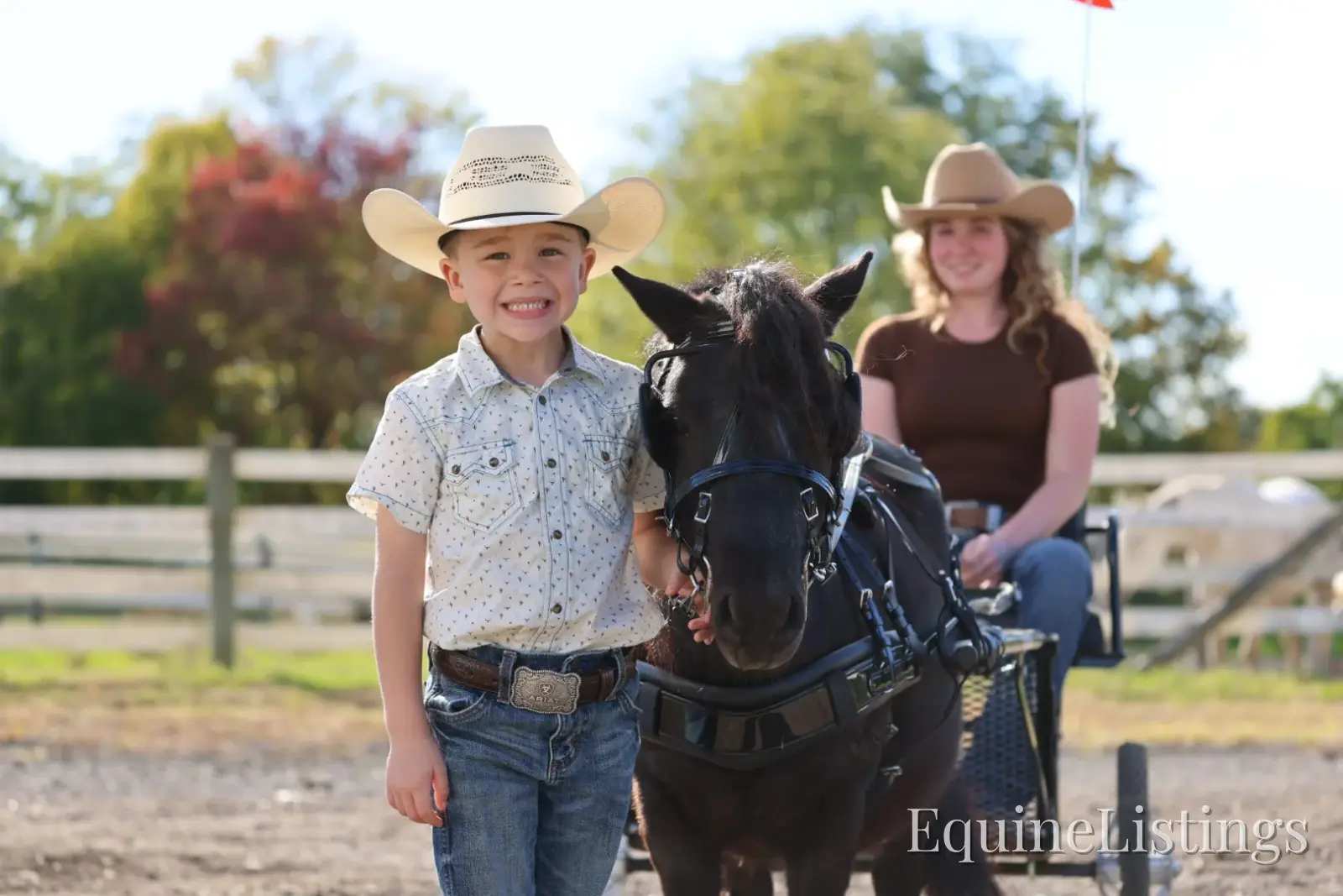 PEPPER Black Gelding Pony - Photo 16