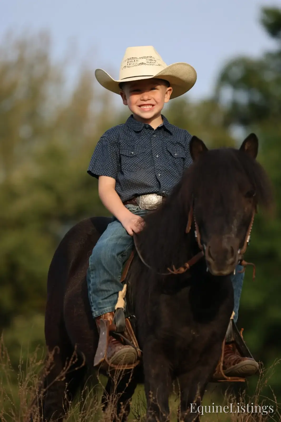 PEPPER Black Gelding Pony - Photo 8